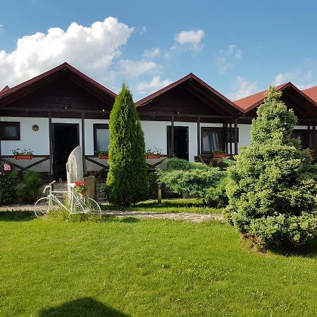 Pensiunea Valea Argesului Albestii Paminteni Bagian luar foto