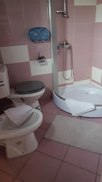 Pensiunea Valea Argesului Albestii Paminteni Bagian luar foto