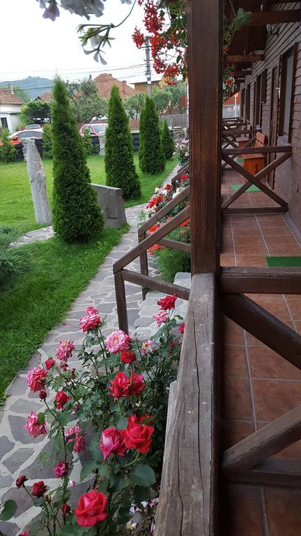 Pensiunea Valea Argesului Albestii Paminteni Bagian luar foto