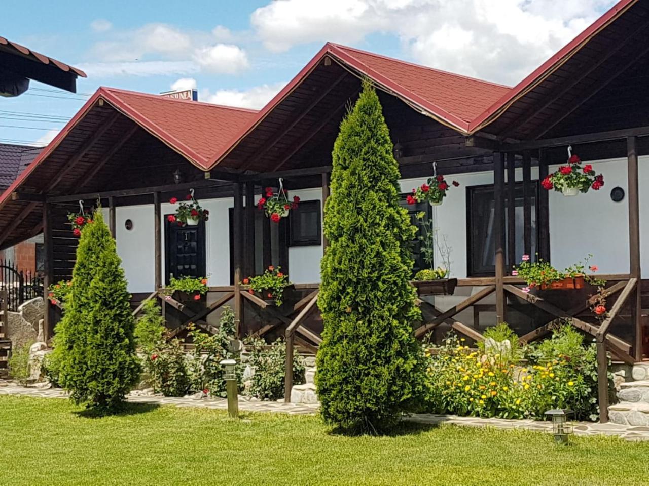 Pensiunea Valea Argesului Albestii Paminteni Bagian luar foto